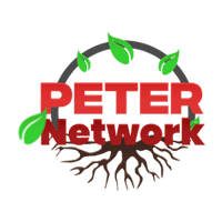 Logo del server Minecraft PeterNetwork